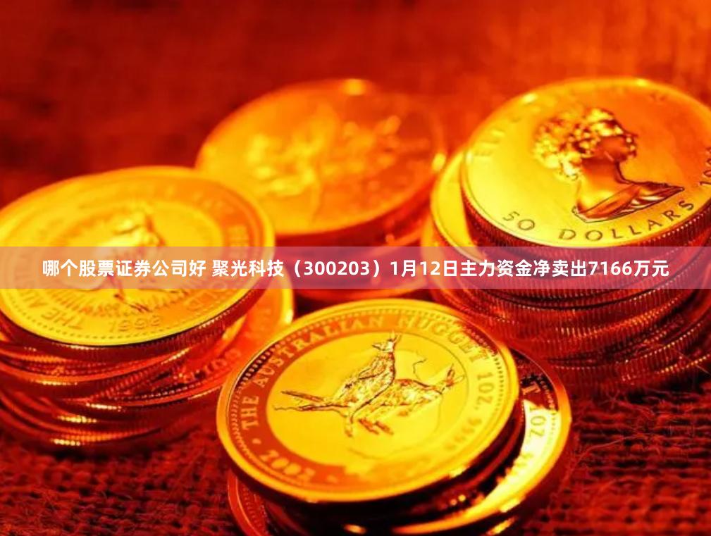 哪个股票证券公司好 聚光科技（300203）1月12日主力资金净卖出7166万元