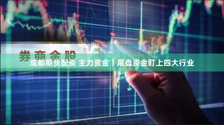 成都期货配资 主力资金丨尾盘资金盯上四大行业
