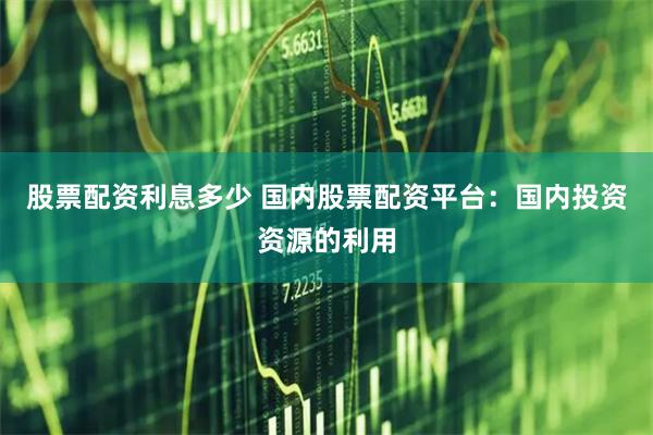 股票配资利息多少 国内股票配资平台：国内投资资源的利用