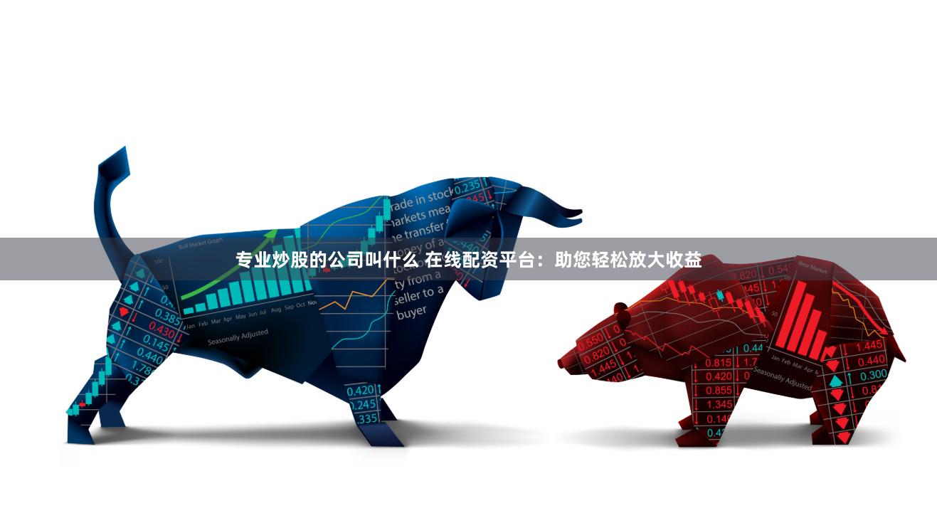 专业炒股的公司叫什么 在线配资平台:助您轻松放大收益